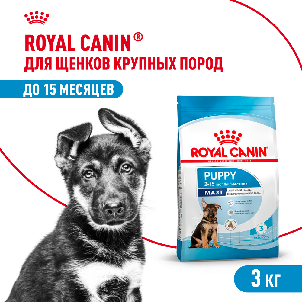 Royal Canin Maxi Puppy Макси Паппи Корм сухой для щенков крупных размеров в возрасте до 15 месяцев 3кг
