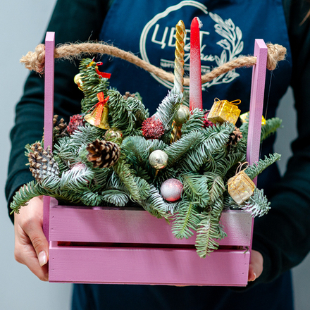 Новогодняя композиция из нобилиса 16