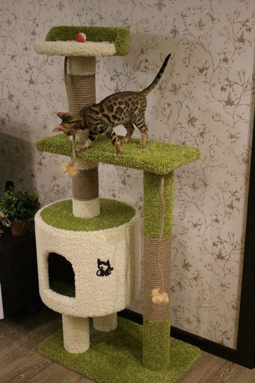 Дом для котят Д-2