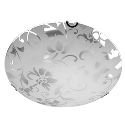 Накладной светильник Arte Lamp A4120PL-2CC