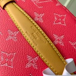 Louis Vuitton Nice Mini