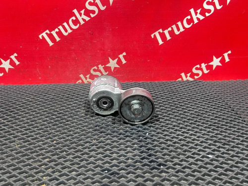 Ролик-натяжитель ремня генератора 2024г