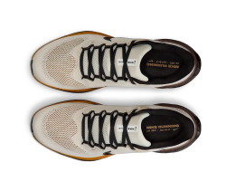 Кроссовки для бега мужские Nike Pegasus 41 Кремово-Коричневые