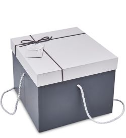 WF-196/3-A Коробка бол., серый/графитовый