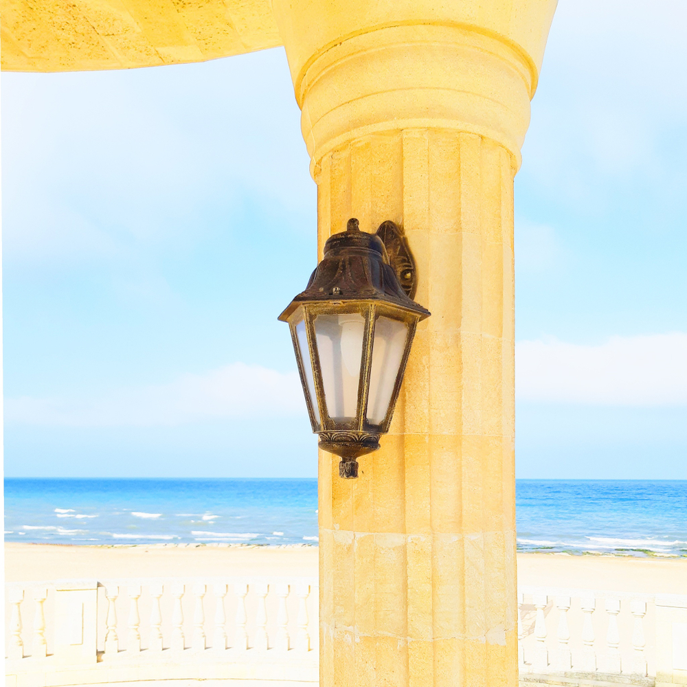 Уличный настенный светильник Fumagalli ANNA E22.131.000.BXF1R