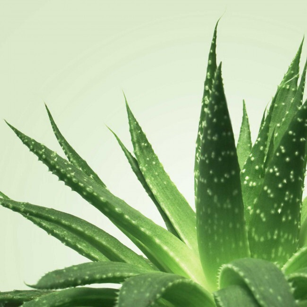 Нуру гель для массажа MIXGLISS ALOE VERA 150мл