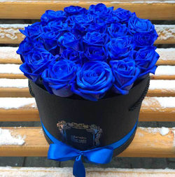 25 синих голандских роз в коробке