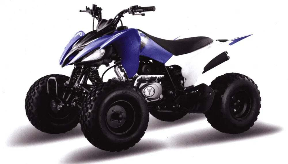 Квадроцикл MOTOLAND 150S