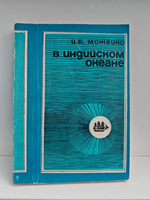 В Индийском океане