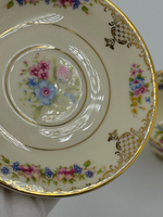 Кофейная пара Rosenthal, Floranada