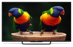 Телевизор Polar 50" P50L21T2C