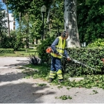 Бензоножницы Husqvarna 525HE3, 9679449-01