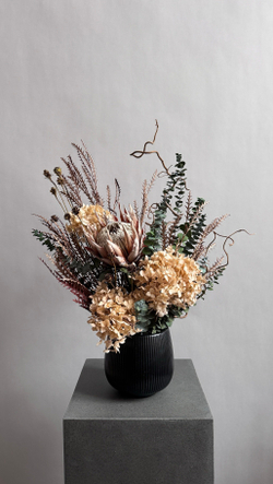 Композиция в кашпо Цинародиес