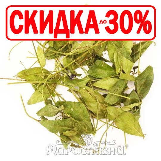 Барвинок малый (лист)