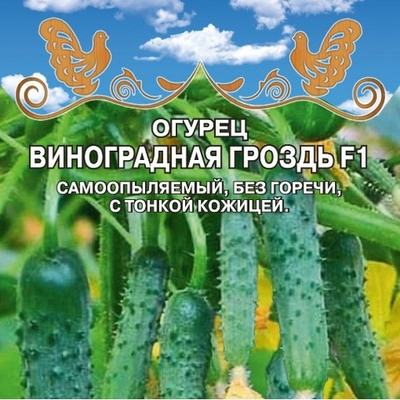 Огурец  Виноградная гроздь F1
