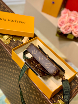 Louis Vuitton Felicie Strap & Go