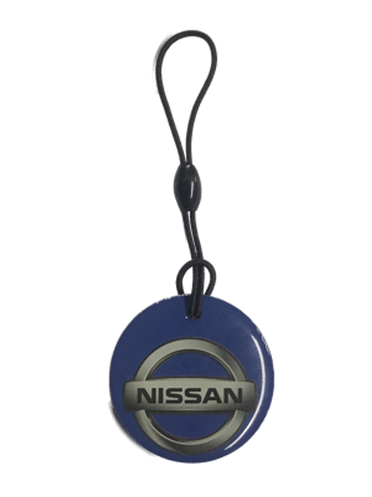 Заготовка домофонная EPOXY чип Н5.5 NISSAN (на резинке)