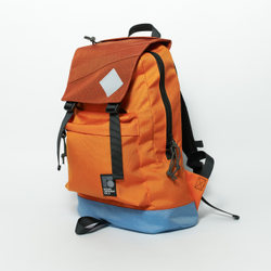 Рюкзак Citypack Color Block морковный