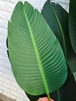 Листья большого искусственного растения детально — декоративное растение для интерьера и офиса