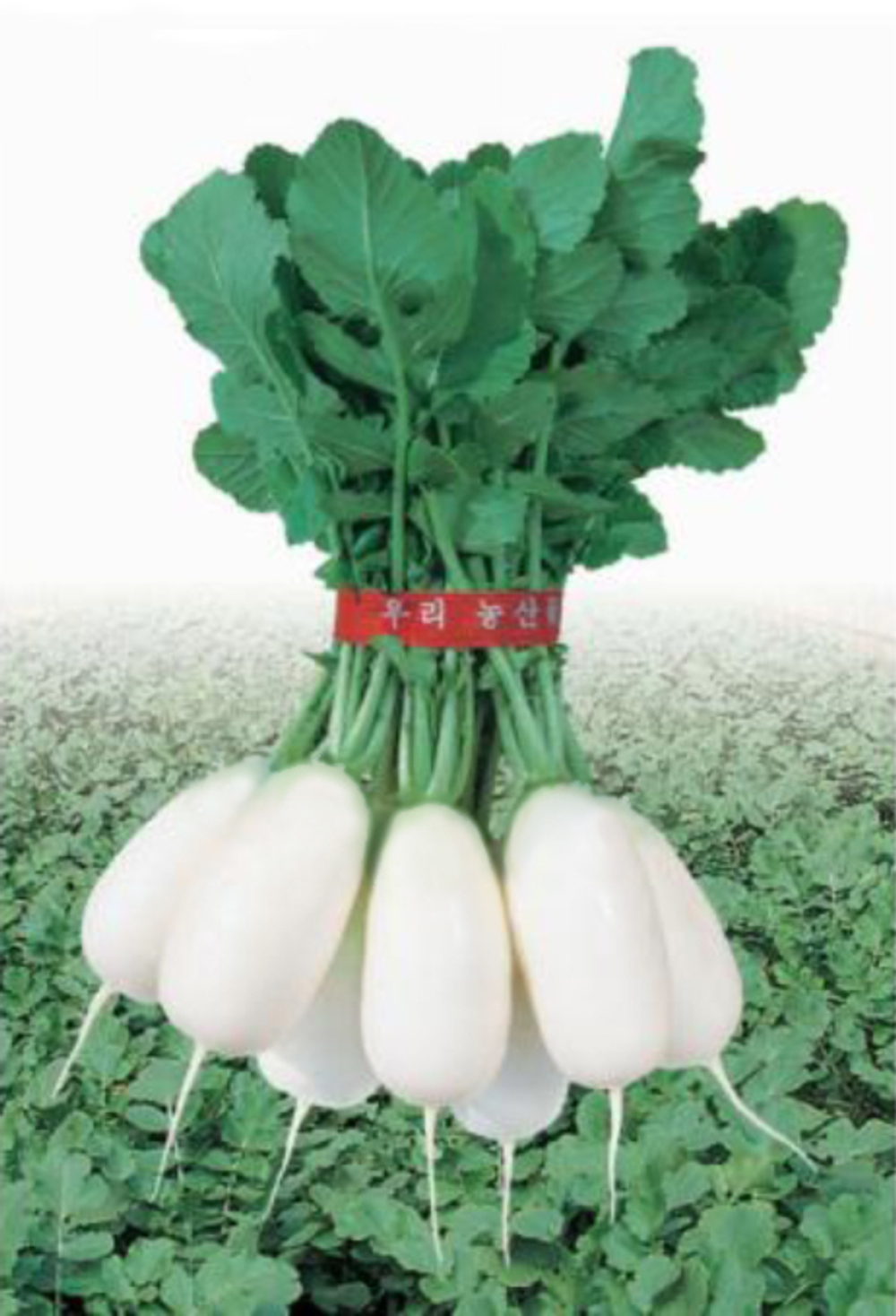 Дайкон Эйс Спринг 1г ВитаГрин ЭКСТРА