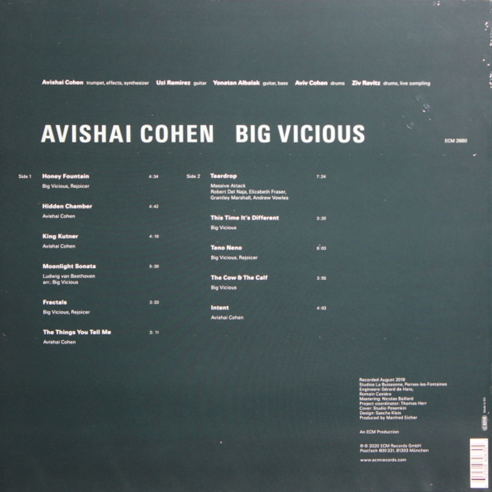 Avishai Cohen / Big Vicious (LP)