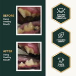 VetriScience Healthy Mouth Dental Powder (ex.Perio Support) добавка в пищу