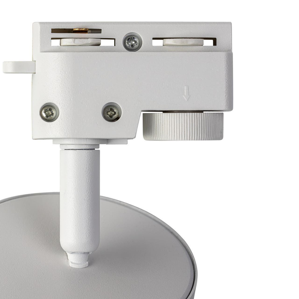 Однофазный трековый светильник Citilux Hardy CL002T10