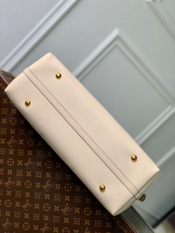 Louis Vuitton CarryAll MM