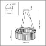 Люстра подвесная Odeon Light 4987/6 VASSA