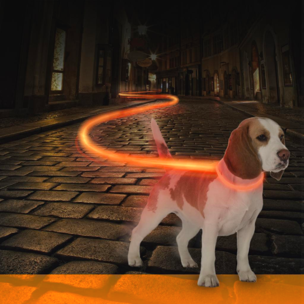 Ошейник для собак светящийся, оранжевый DUVO+