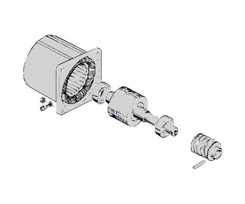 Электродвигатель С-100, CAME 119RIC052