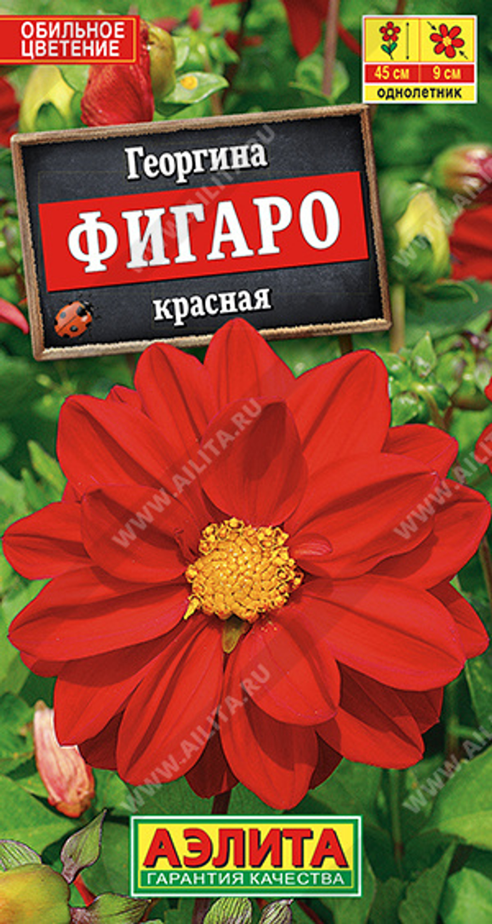 Георгина Фигаро красная махровая 7шт Аэлита