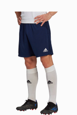 Шорты adidas Entrada 22 Training