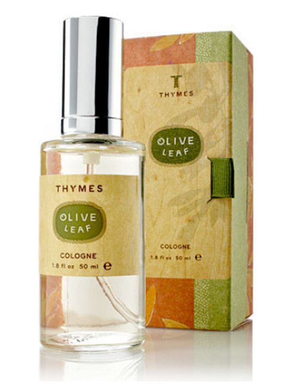 Thymes Olive Leaf