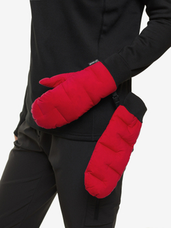 ВАРЕЖКИ ПУХОВЫЕ BASK D-TUBE CHESSMITTS