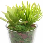 Цветок искусственный «Суккулент» 6*11см в стеклянном горшке ZPY-05