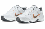 Кроссовки Nike Defy All Day