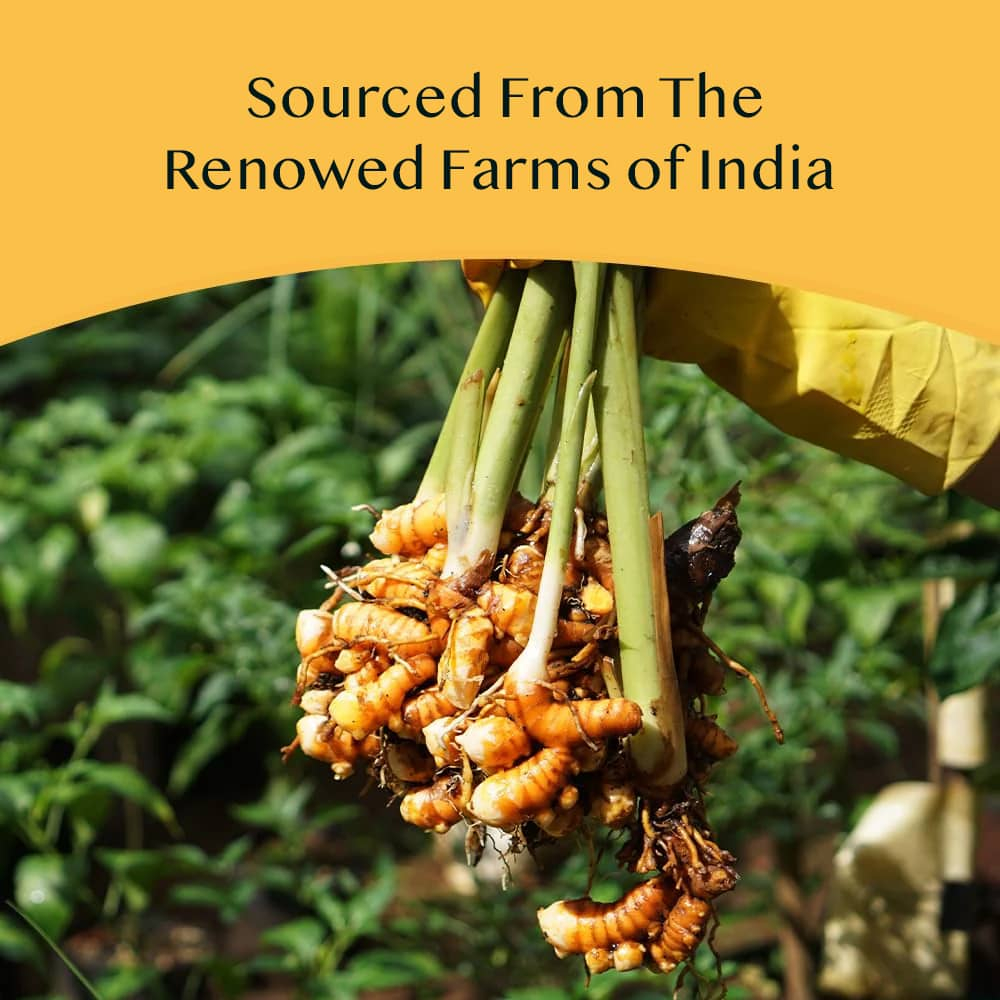 VAHDAM India, Infusions, травяной чай, куркума и матча, 18 пакетиков для заваривания, 27 г (0,95 унции)