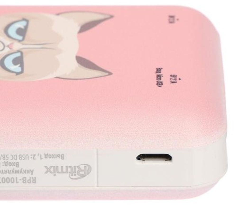 Внешний аккумулятор Ritmix RPB-10007 Grumpy Cat 10000 mAh