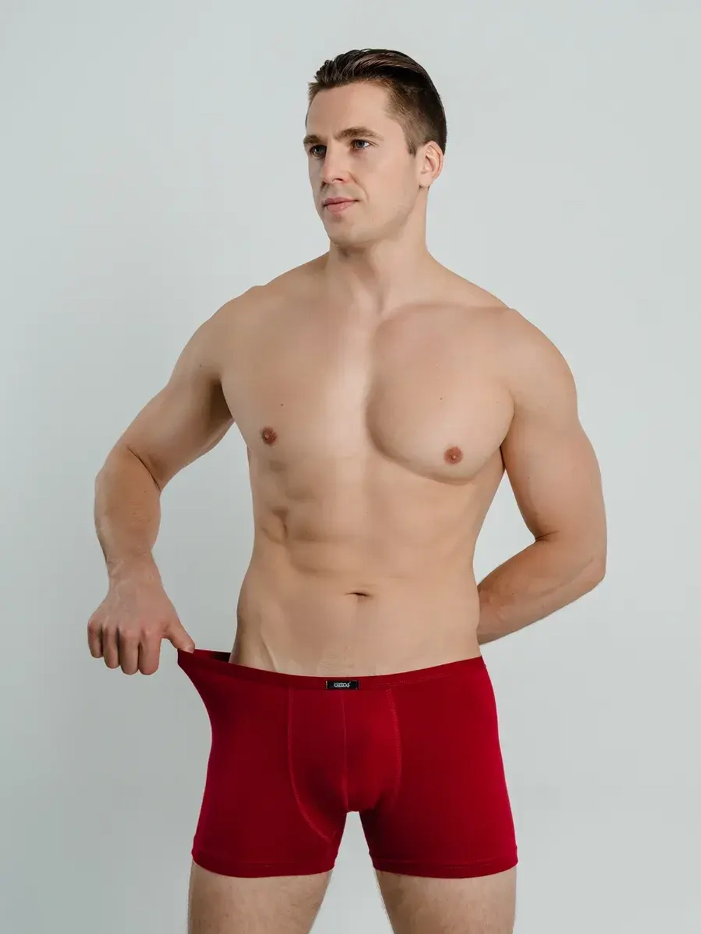 Трусы A1713-БД