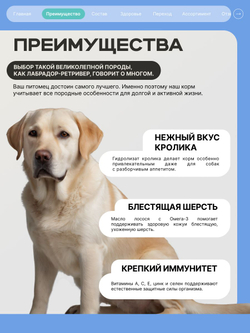 Корм для взрослых собак породы Лабрадор-ретривер, с кроликом, 3 кг, QUATTRO