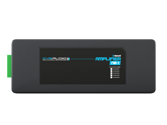 CVGAUDIO NB-1 стереофонический двухканальный цифровой усилитель D-класса