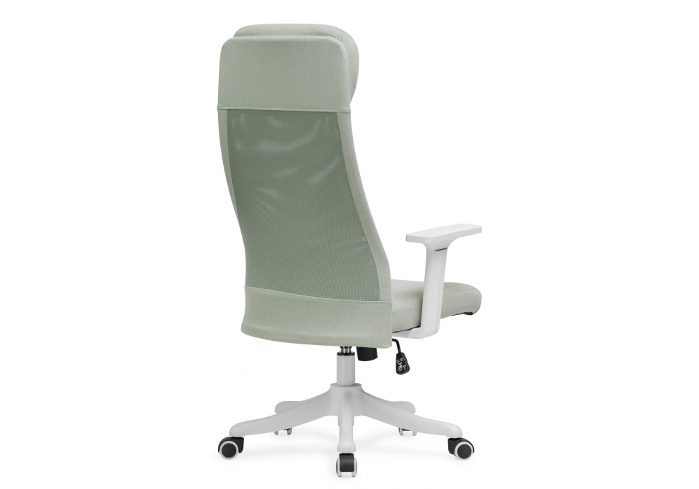 Компьютерное кресло Woodville Salta light green, white