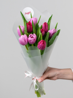 Тюльпаны микс