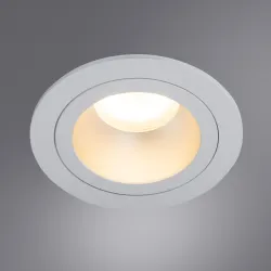 Точечный встраиваемый светильник Arte Lamp ALKES