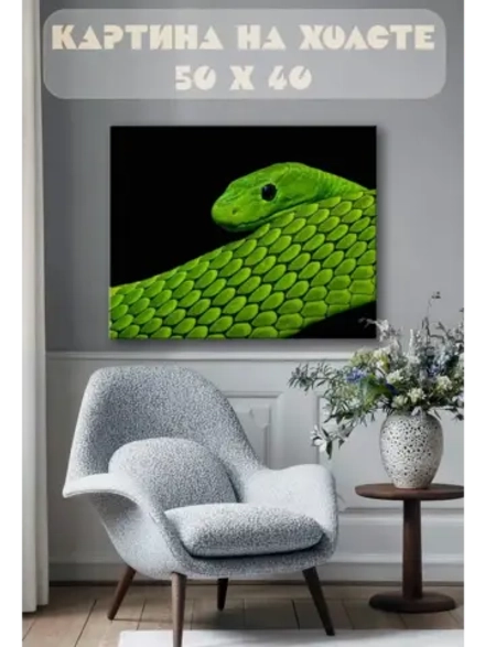 Картина на стену 40 X 50 Зеленая змея