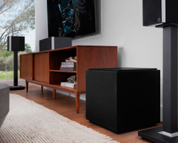 Definitive Technology Descend DN12