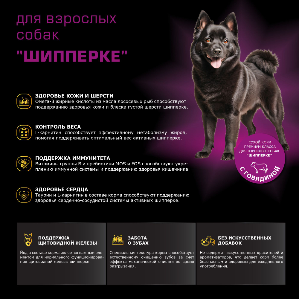 Корм сухой для взрослых собак породы Шипперке, с говядиной, 2,5 кг, QUATTRO