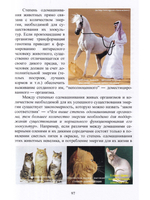 Учение о породе как часть теории зоокультур
