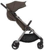 Детская коляска Anex iQ Premium NT 2 в 1 Bruna